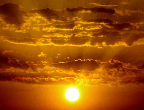 the_golden_sunrise