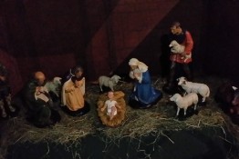 2016-12-31 11.45.47